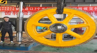 廠家直銷定制大模數(shù)蝸輪蝸桿副